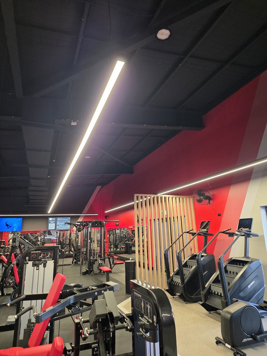 Finished gym floor with long linear lighting over cardio and weights areas